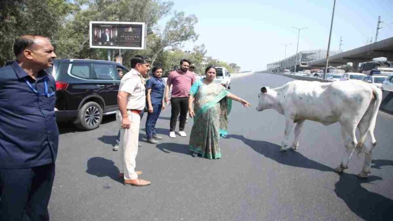Delhi news: